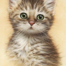 Cross stitch pattern: #495594