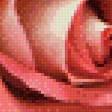 Preview of cross stitch pattern: #495737