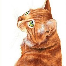Cross stitch pattern: #495780