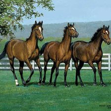 Cross stitch pattern: #495896