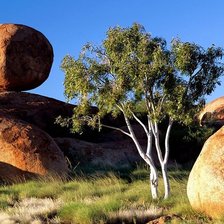 Cross stitch pattern: #495941