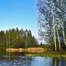 Cross stitch pattern: #495952