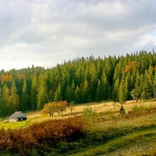 Cross stitch pattern: #495955