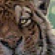 Preview of cross stitch pattern: #496419