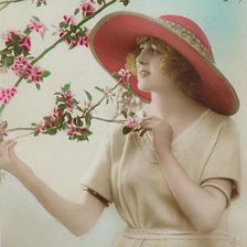 Cross stitch pattern: #496624