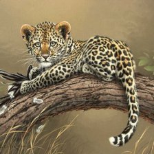 Cross stitch pattern: #496937