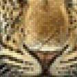 Preview of cross stitch pattern: #496941