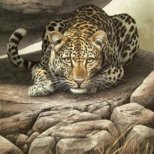 Cross stitch pattern: #496941