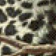 Preview of cross stitch pattern: #496942