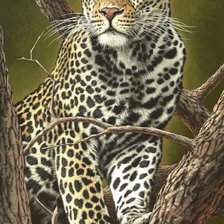 Cross stitch pattern: #496942