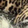 Preview of cross stitch pattern: #496953