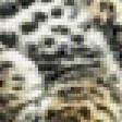 Preview of cross stitch pattern: #496956
