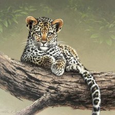 Cross stitch pattern: #496956