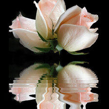 Cross stitch pattern: #497072