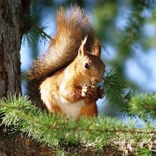 Cross stitch pattern: #498108
