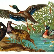 Cross stitch pattern: #498527