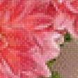 Preview of cross stitch pattern: #498659