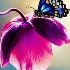 Cross stitch pattern: #498660