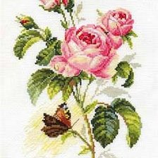 Cross stitch pattern: #498663