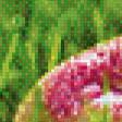 Preview of cross stitch pattern: #498919