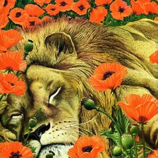 Cross stitch pattern: #499726