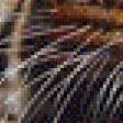 Preview of cross stitch pattern: #499889
