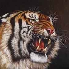 Cross stitch pattern: #499889