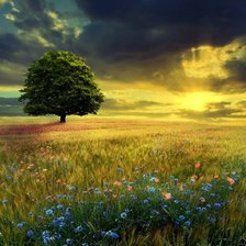 Cross stitch pattern: #499953