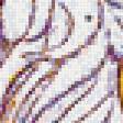 Preview of cross stitch pattern: #500328