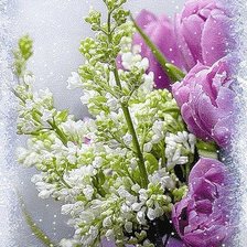 Cross stitch pattern: #500579