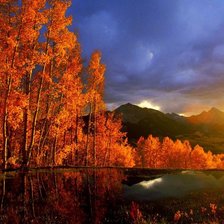 Cross stitch pattern: #500597