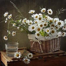 Cross stitch pattern: #501423