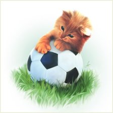 Cross stitch pattern: #502304