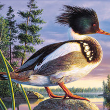 Cross stitch pattern: #502431