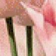 Preview of cross stitch pattern: #502433