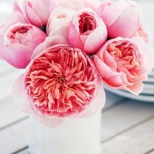 Cross stitch pattern: #502829