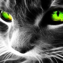 Cross stitch pattern: #503049