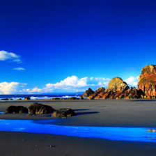 Cross stitch pattern: #503050