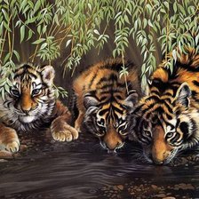 Cross stitch pattern: #503193