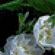 Preview of cross stitch pattern: #503573