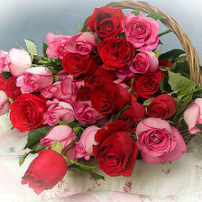 Cross stitch pattern: #503722