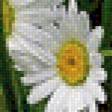 Preview of cross stitch pattern: #503731