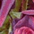 Preview of cross stitch pattern: #503732