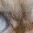 Preview of cross stitch pattern: #503755