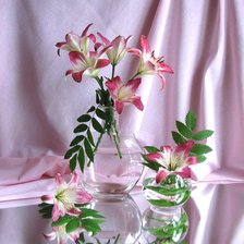 Cross stitch pattern: #503811