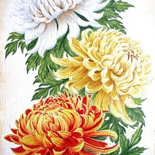 Cross stitch pattern: #503817