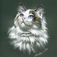 Cross stitch pattern: #504095