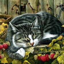 Cross stitch pattern: #504097