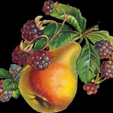 Cross stitch pattern: #504405