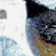 Preview of cross stitch pattern: #504547